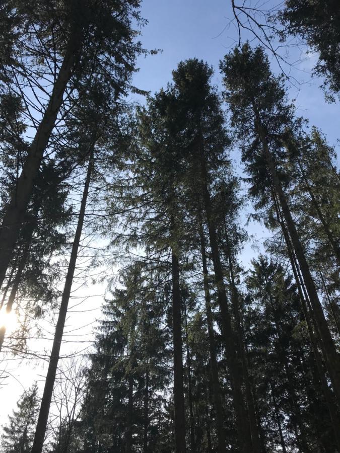 Wohnung Mit Panoramablick Gerolstein Kültér fotó